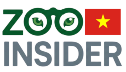 ZooInsider